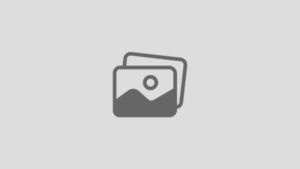 Website & CMS Bug Fixes